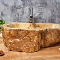 Достоинства раковины из окаменелого дерева