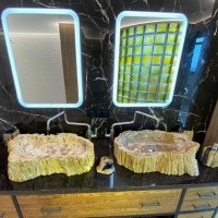 Раковина из окаменелого дерева