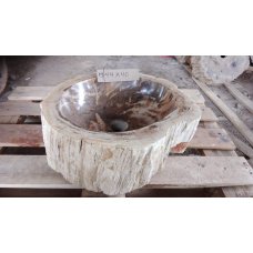 Раковина из окаменелого дерева 44x40 (ОД11)