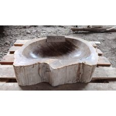 Раковина из окаменелого дерева 49x41 (ОД36)