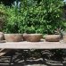 Раковины трипл из речного камня 34x28 (RS1041, RS1026, RS1056)